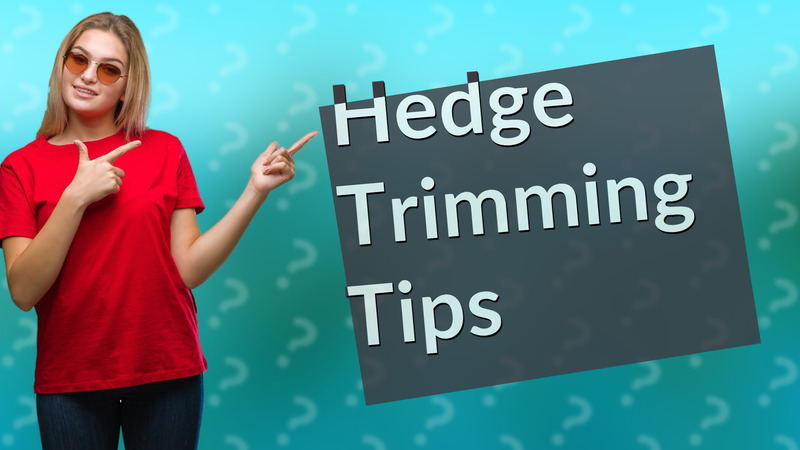 Hedge Trimming Tips