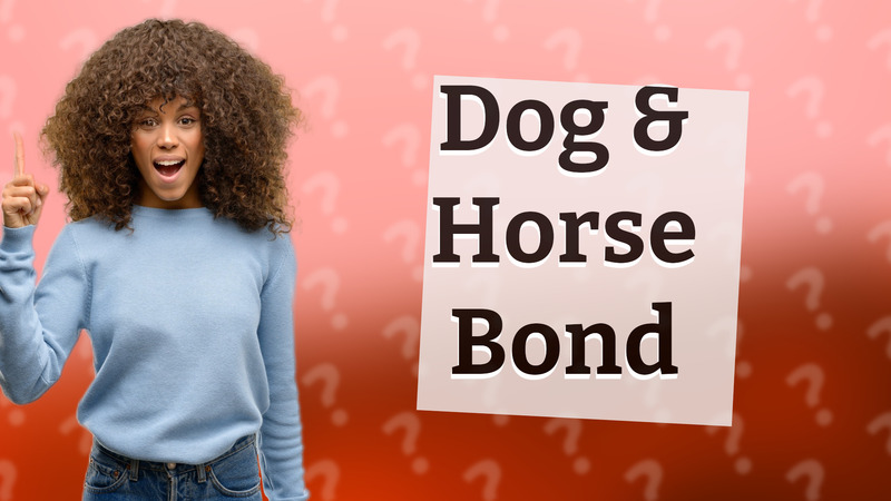 Dog & Horse Bond