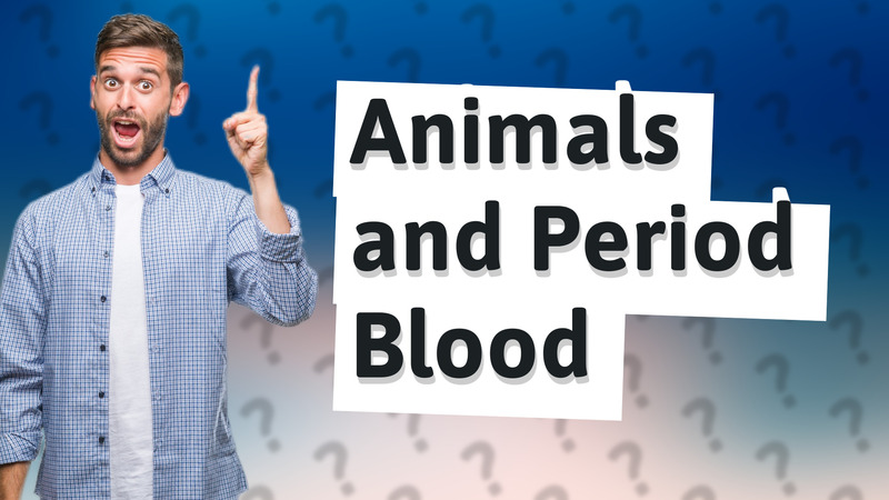 Animals and Period Blood