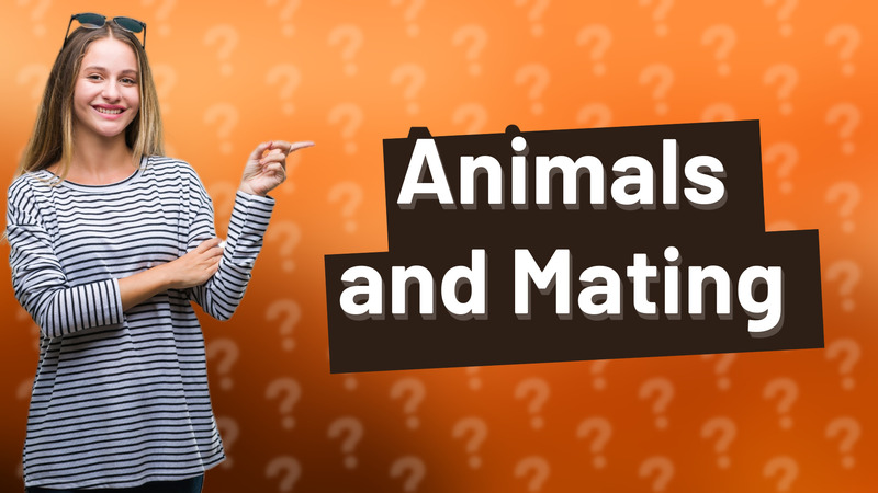 Animals and Mating