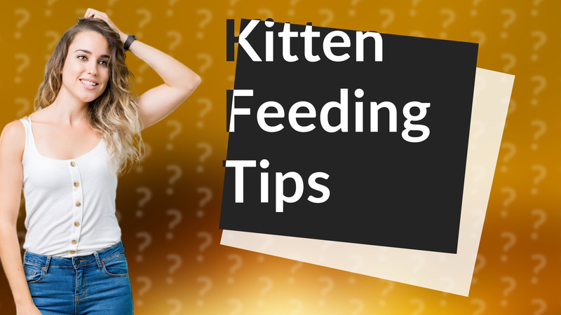Kitten Feeding Tips