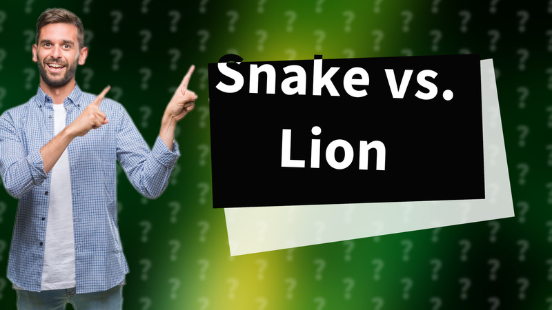Snake vs. Lion