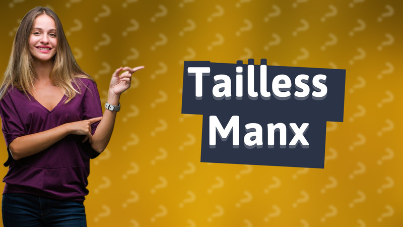 Tailless Manx