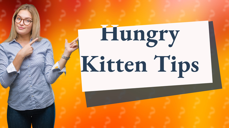 Hungry Kitten Tips