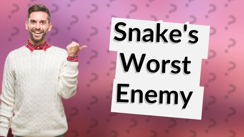 Snake's Worst Enemy