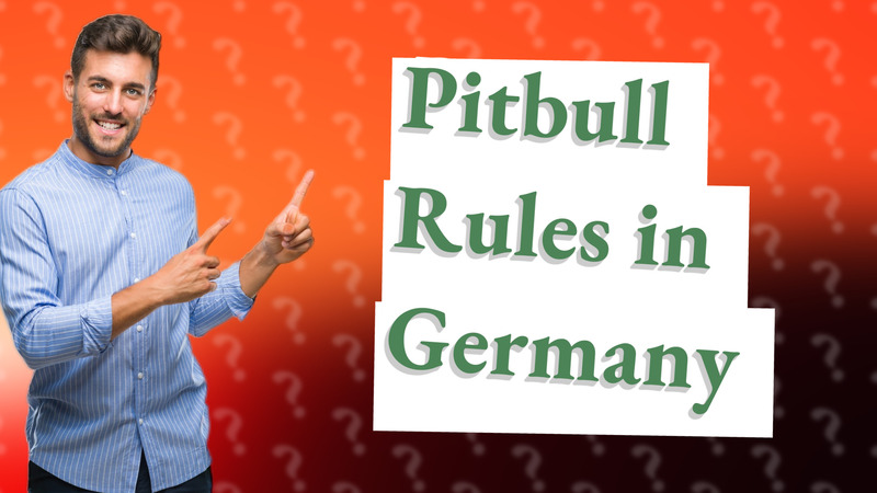 Pitbull Rules in Germany