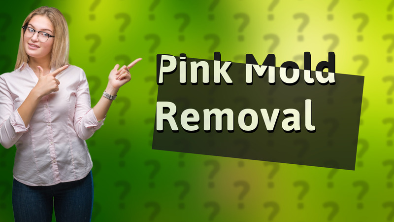 Pink Mold Removal