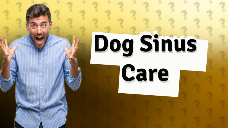 Dog Sinus Care