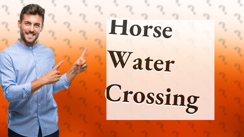 Horse Water Crossing