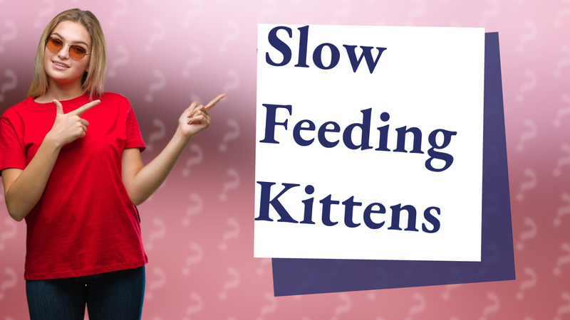 Slow Feeding Kittens