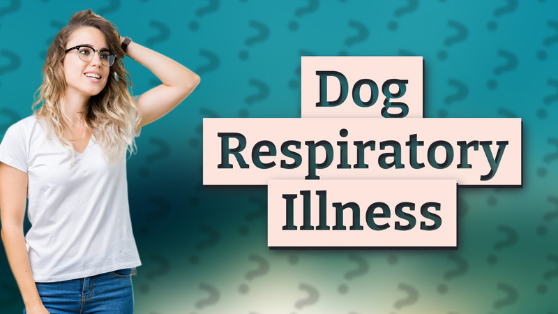 Dog Respiratory Illness