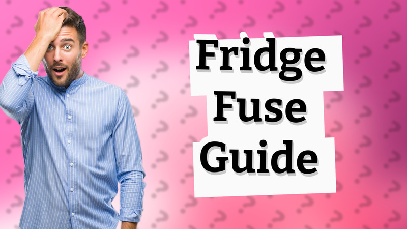 Fridge Fuse Guide
