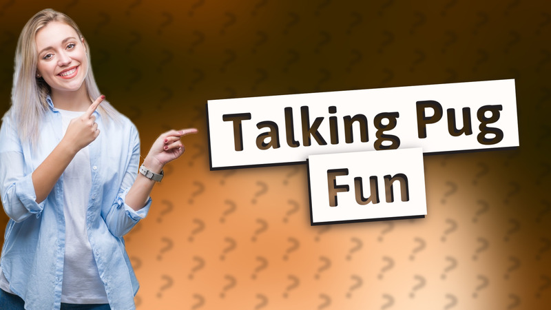 Talking Pug Fun