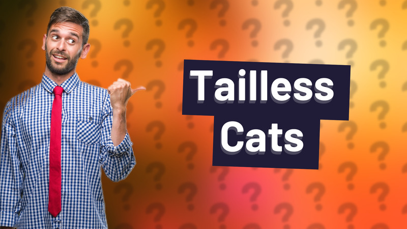 Tailless Cats