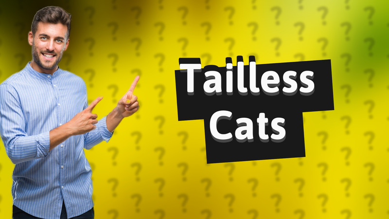 Tailless Cats