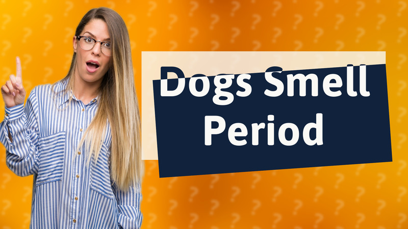 Dogs Smell Period