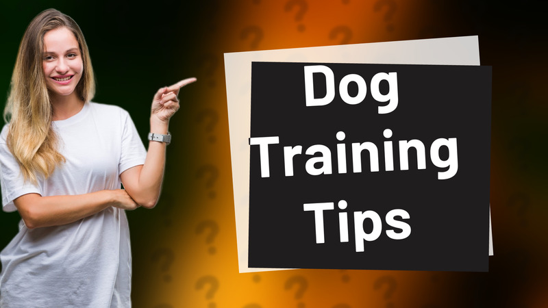 Dog Training Tips