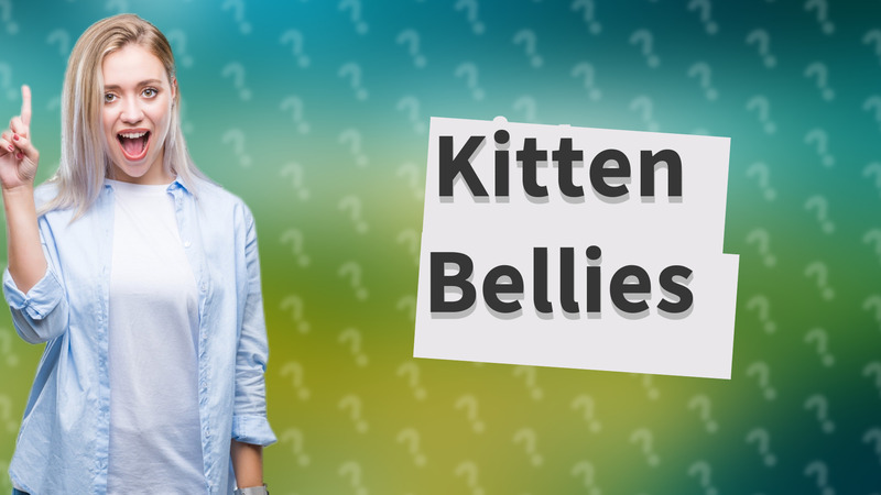Kitten Bellies
