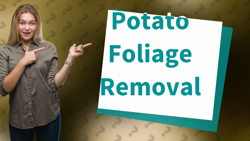 Potato Foliage Removal