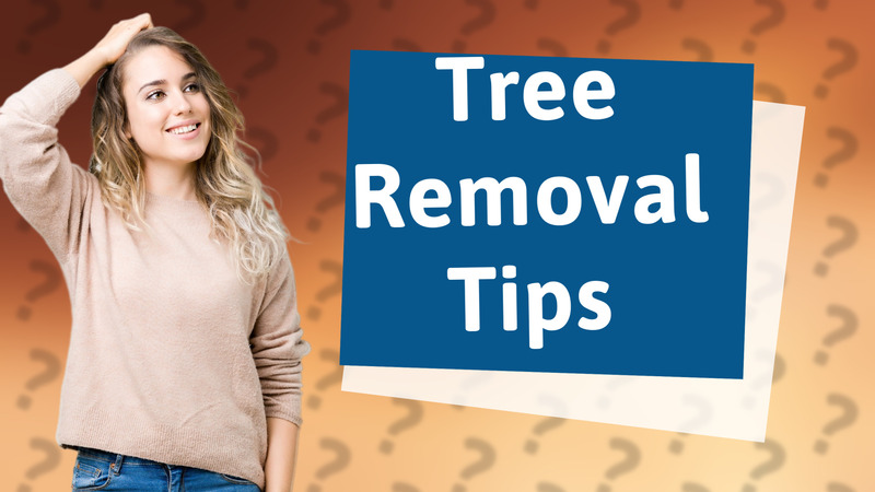 Tree Removal Tips