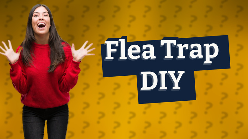 Flea Trap DIY