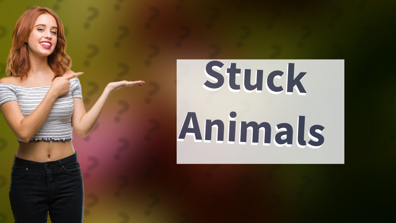 Stuck Animals