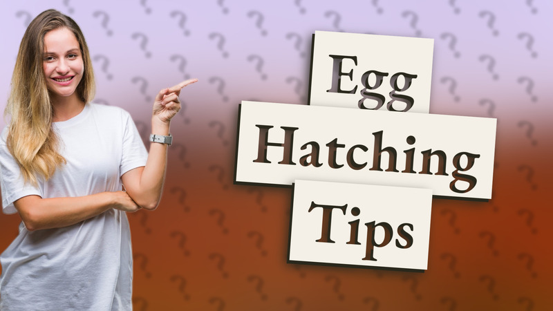 Egg Hatching Tips