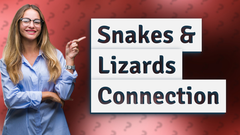Snakes & Lizards Connection
