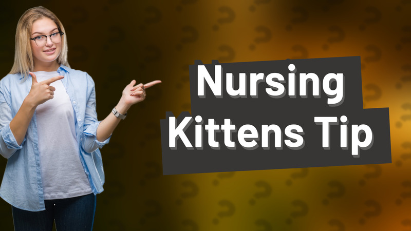 Nursing Kittens Tip