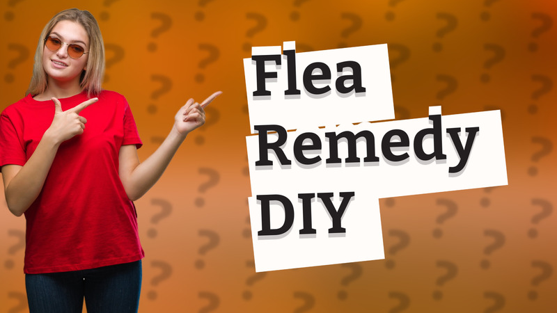 Flea Remedy DIY