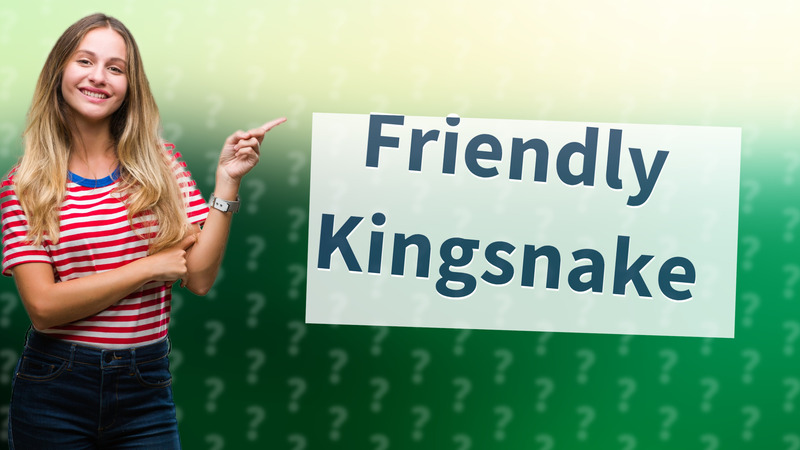 Friendly Kingsnake