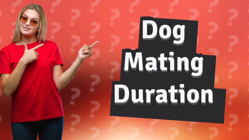 Dog Mating Duration