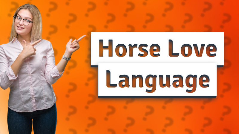 Horse Love Language