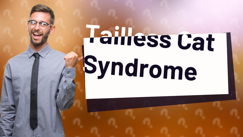 Tailless Cat Syndrome