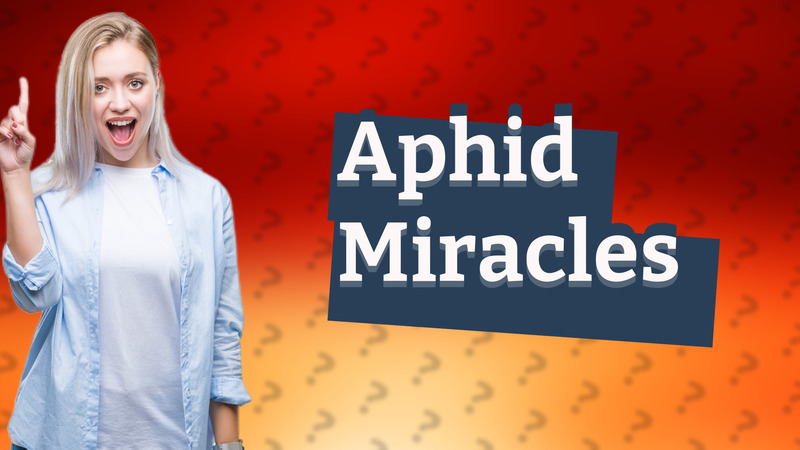 Aphid Miracles