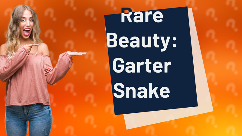 Rare Beauty: Garter Snake