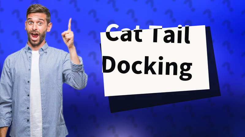 Cat Tail Docking