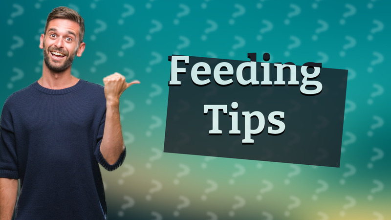 Feeding Tips