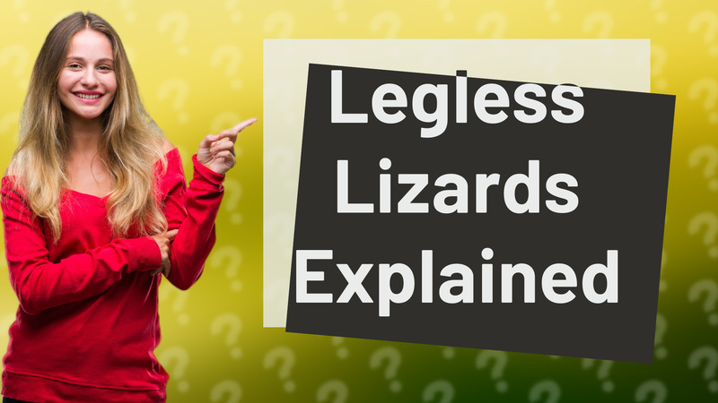 Legless Lizards Explained
