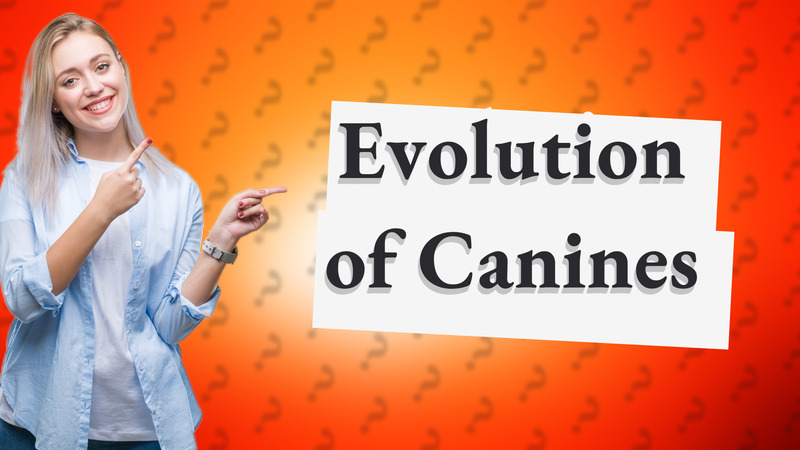 Evolution of Canines