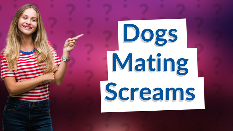Dogs Mating Screams