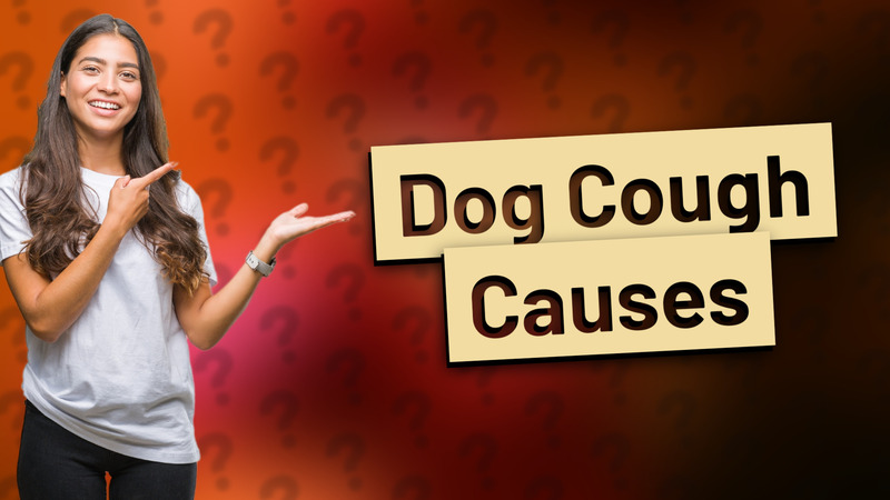 Dog Cough Causes