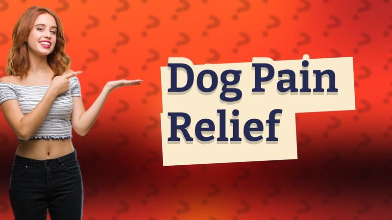 Dog Pain Relief