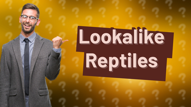 Lookalike Reptiles