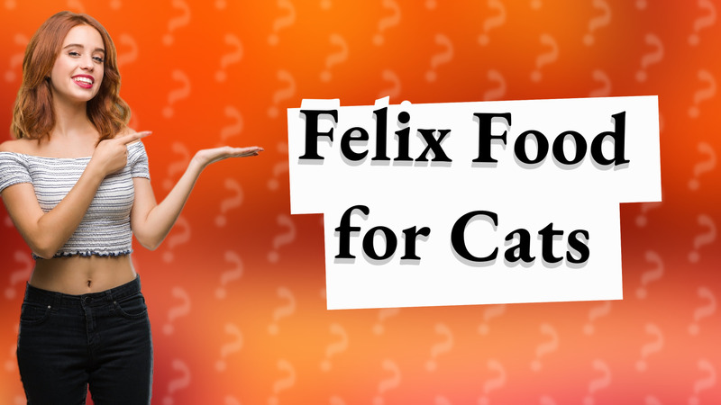 Felix Food for Cats