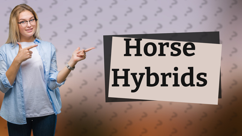 Horse Hybrids
