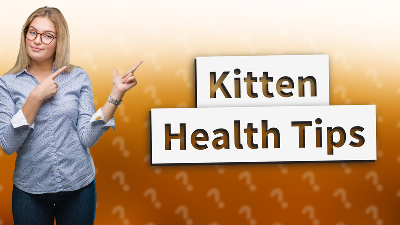 Kitten Health Tips