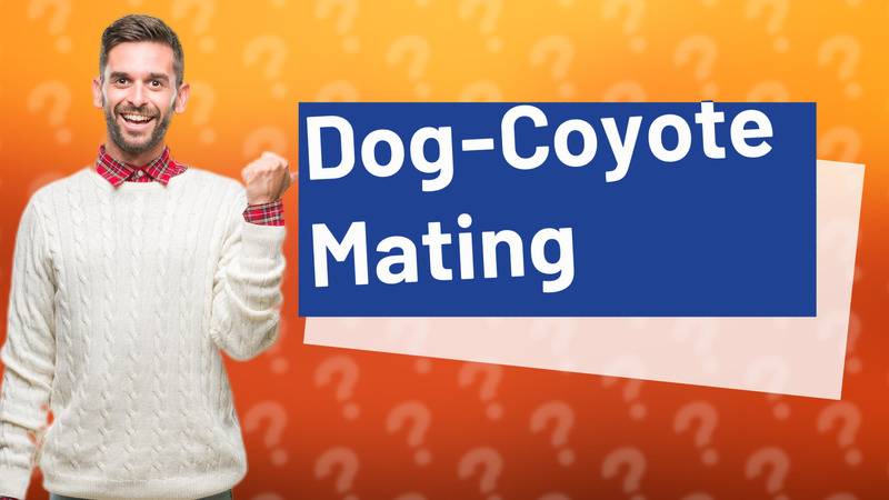 Dog-Coyote Mating
