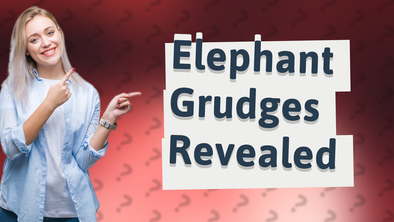 Elephant Grudges Revealed