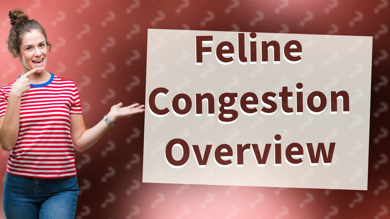 Feline Congestion Overview
